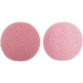 SPA ACCESSORIES by Spa Accessories GAL PAL GARMENT DEODORANT REMOVER SPONGE 2 PACK