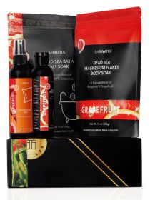 Luxury Dead Sea Spa Gift Set (GB-1008H: fefault)